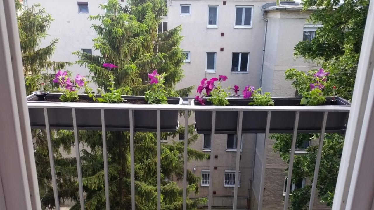 Tisza-Parti Napfeny Apartman Сегед Экстерьер фото